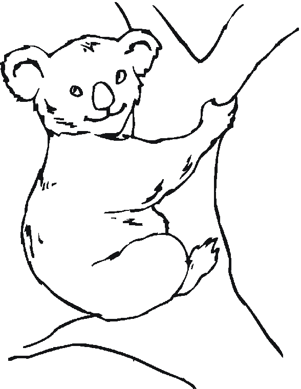 Раскраски Австралия раскраски для детей, животные, Австралия, коала