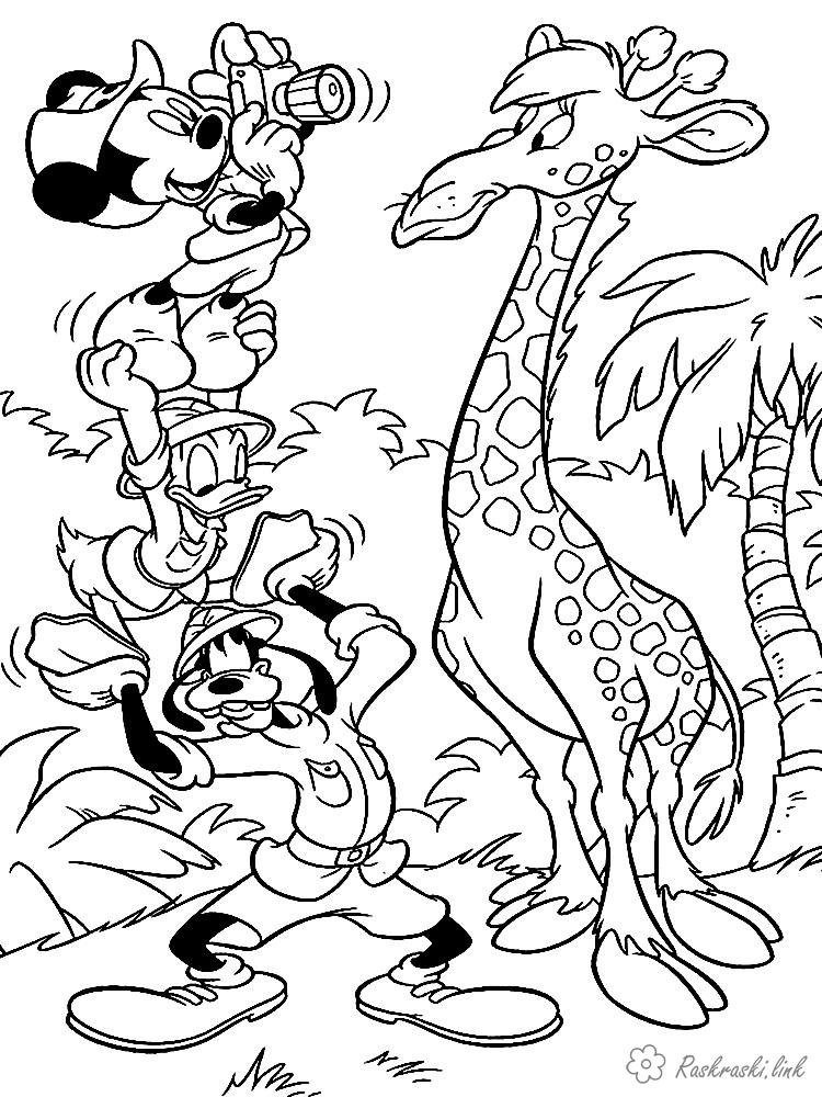 Розмальовки Африка розмальовки для дітей, тварини, Африка, жираф, Міккі Маус, Скрудж Магдак, Гуфі