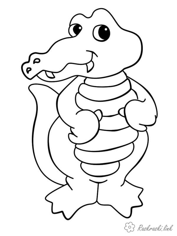 Розмальовки крокодил розмальовки для дітей, тварини, Африка, крокодил