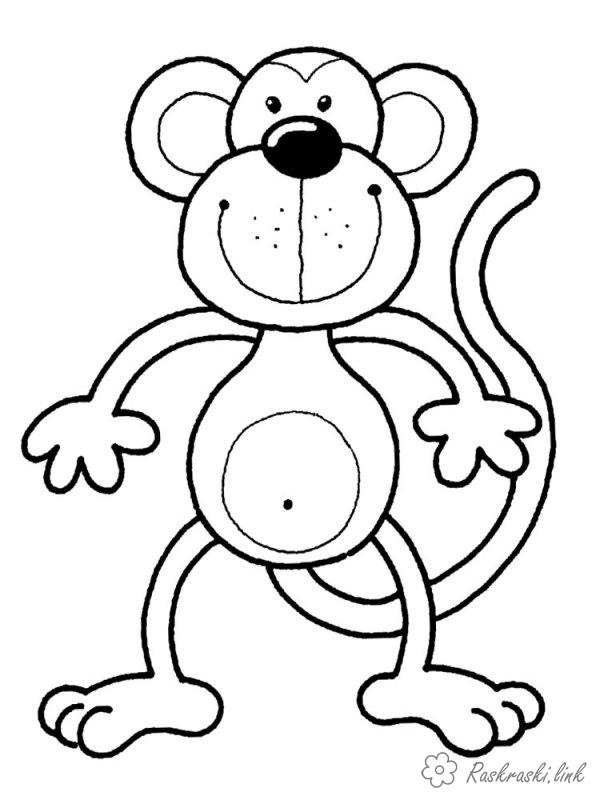 Розмальовки мавпочка розмальовки для дітей, тварини, Африка, мавпа