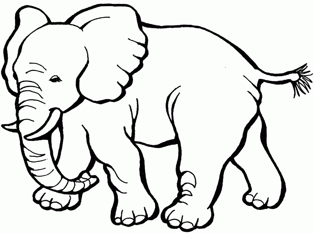 Розмальовки тварини Слон