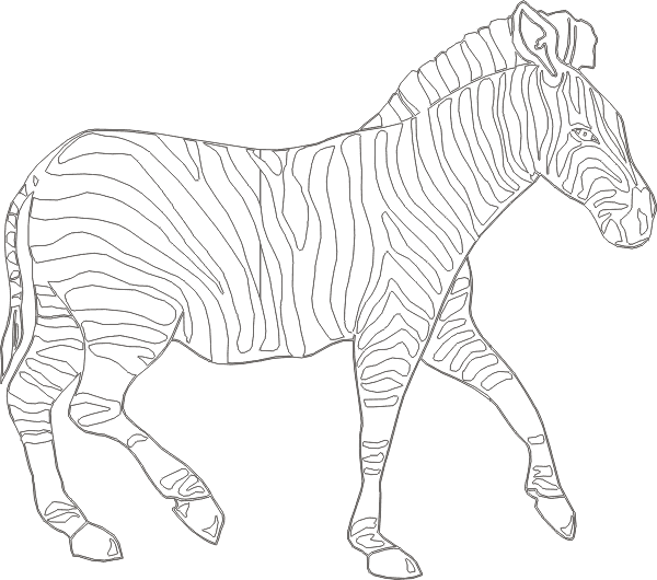 Розмальовки тварини Зебра