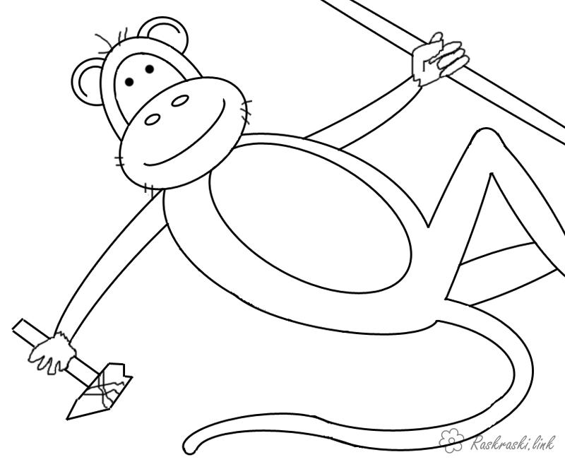 Розмальовки тварини розмальовки для дітей, тварини, Африка, мавпа