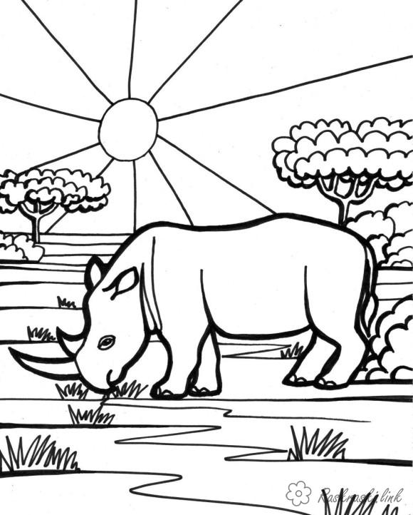 Розмальовки подорожі розмальовки для дітей, тварини, Африка, носоріг
