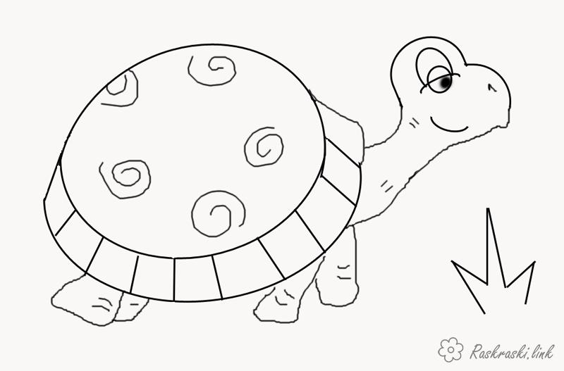 Розмальовки черепаха розмальовки для дітей, тварини, Африка, черепаха