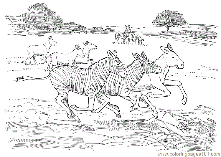 Розмальовки тварини розмальовки для дітей, тварини, Африка, зебра