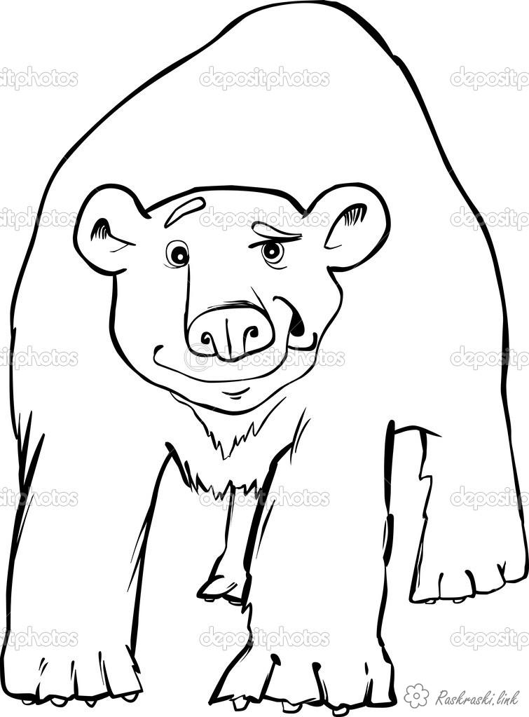 Розмальовки Антарктида розмальовки для дітей, тварини, Антарктида, білий ведмідь