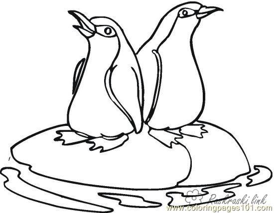 Розмальовки Антарктида розмальовки для дітей, тварини, Антарктида, пінгвін