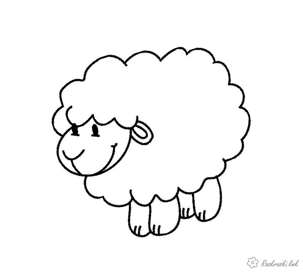 Розмальовки прості Дитяча розфарбування овечка
