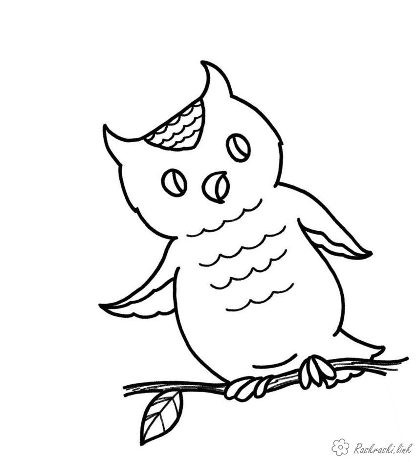 Розмальовки прості Дитяча розфарбування сова