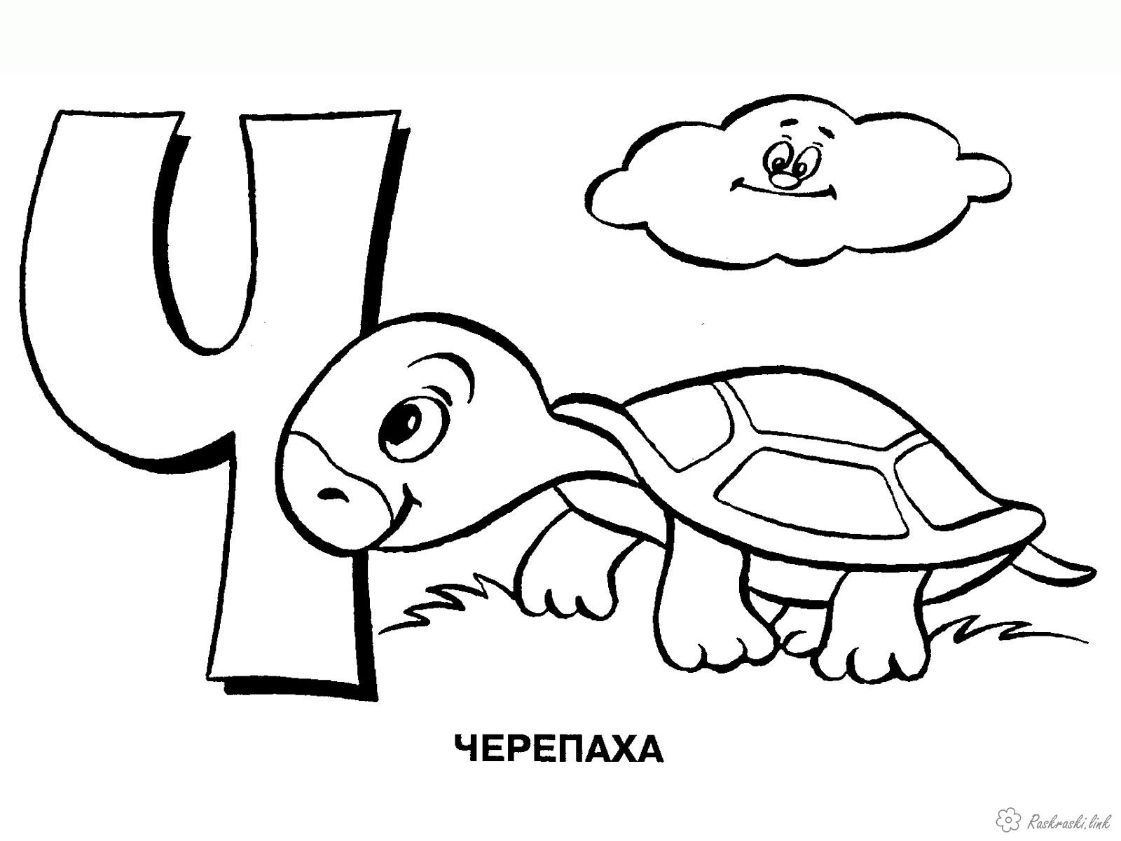 Розмальовки букви буква Ч черепаха