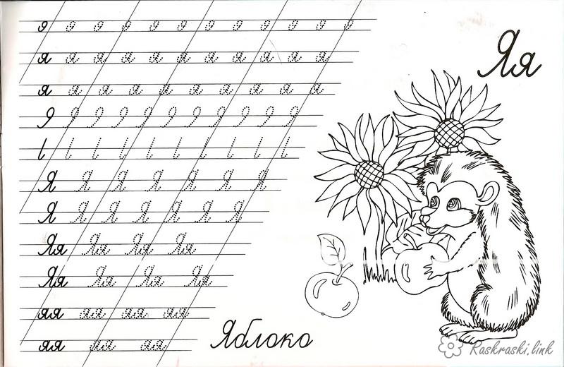 Розмальовки Прописи букви Яблука, їжак, квіти, обведи і розфарбуй