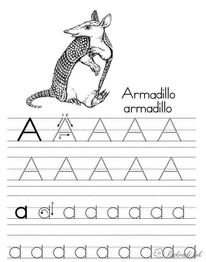 Розмальовки Прописи букви бурундук тварина Армада букви а в різних формах