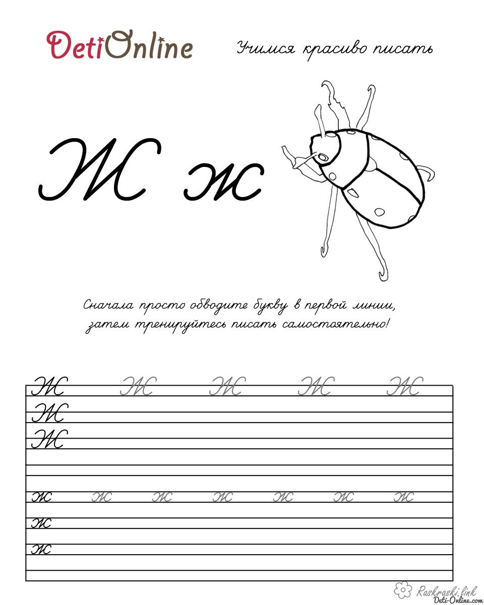 Розмальовки Прописи букви жук, обведи і розфарбуй