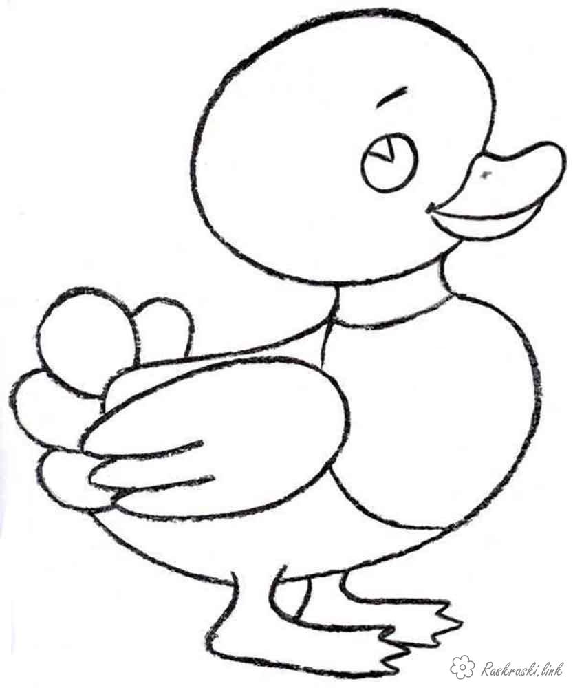 Розмальовки Прості розмальовки для малюків Каченя, птиця, качка
