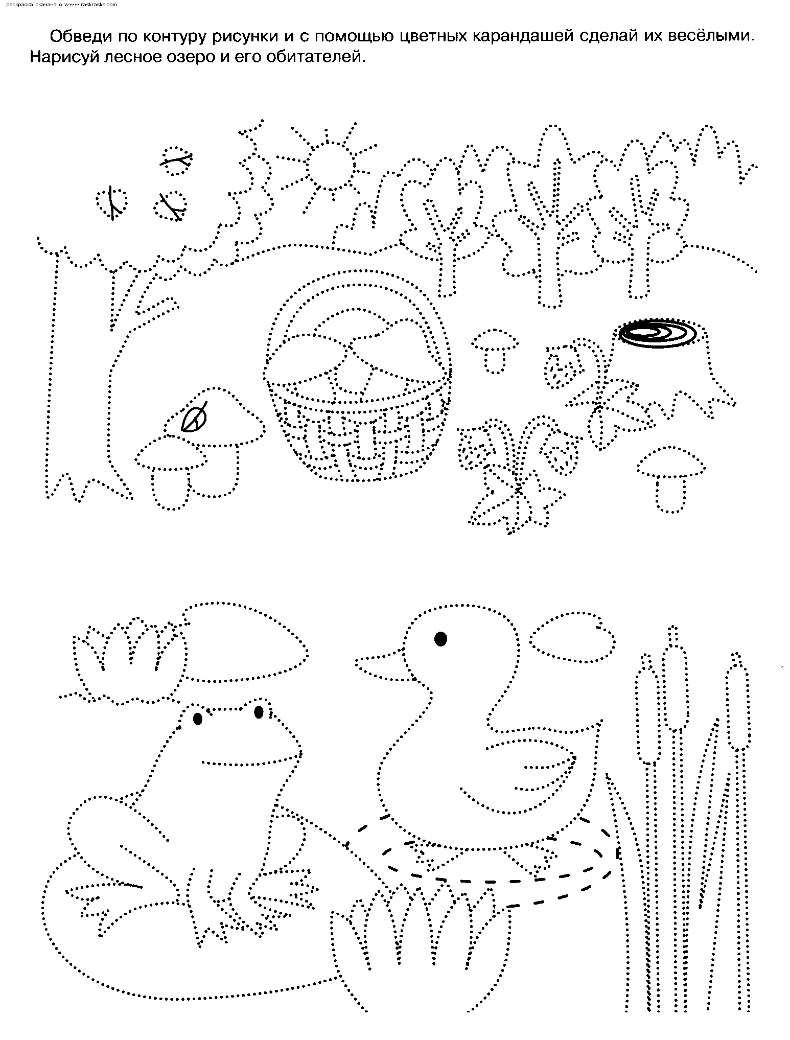 Розмальовки З'єднай по точках Дитяча розфарбування, ліс, болото, качечки, рослини з'єднай і розфарбуй