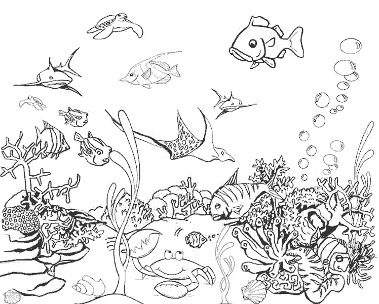 Розмальовки розмальовка Підводний світ, жителі океану, рибки, рак, скат, водорості
