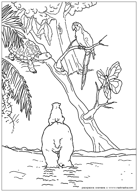 Розмальовки папуга Папуга джунглі