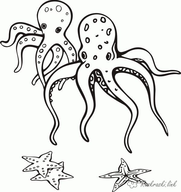 Раскраски Подводный мир Подводный мир, осьминог, морская звезда