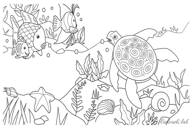 Раскраски Подводный мир подводный мир, рыбки, черепаха, водоросли, морская звезда