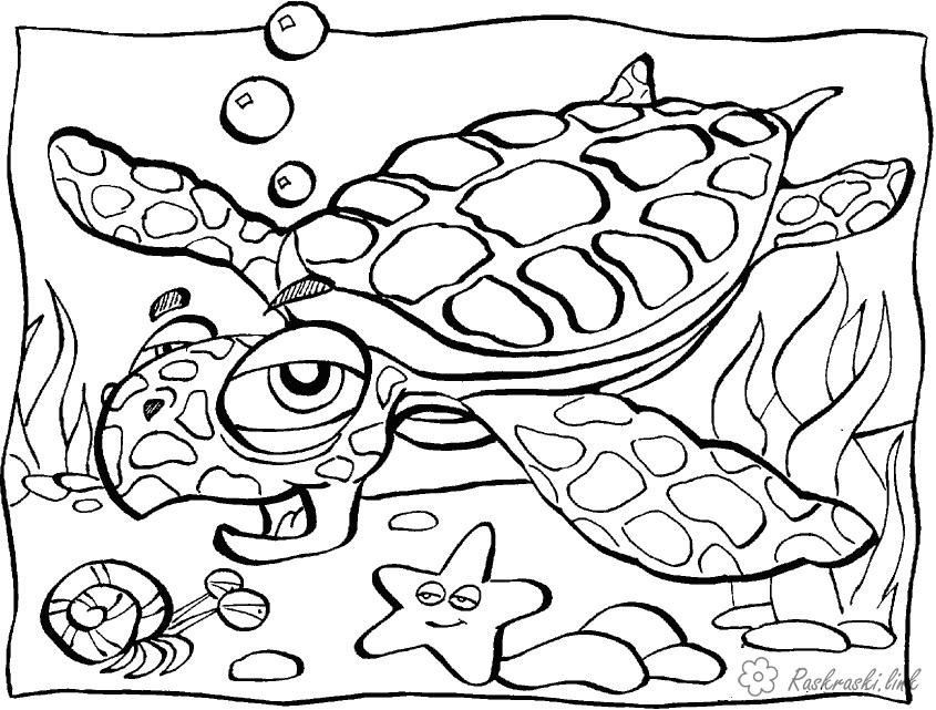 Розмальовки природа Підводний світ, черепаха, морська зірка
