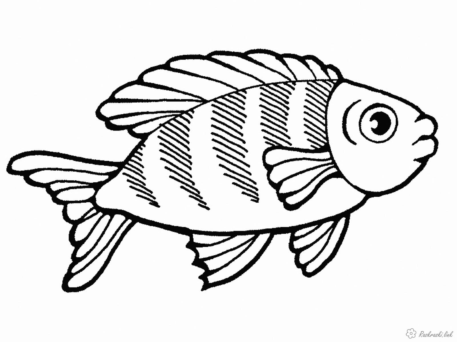 Розмальовки розмальовка Підводний світ, рибка