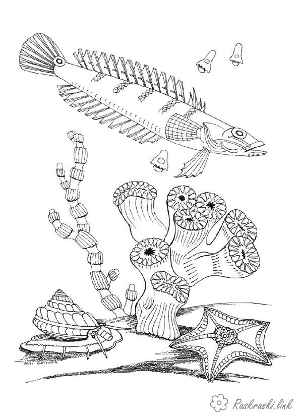Розмальовки природа Підводний світ, рибка, корали, морська зірка