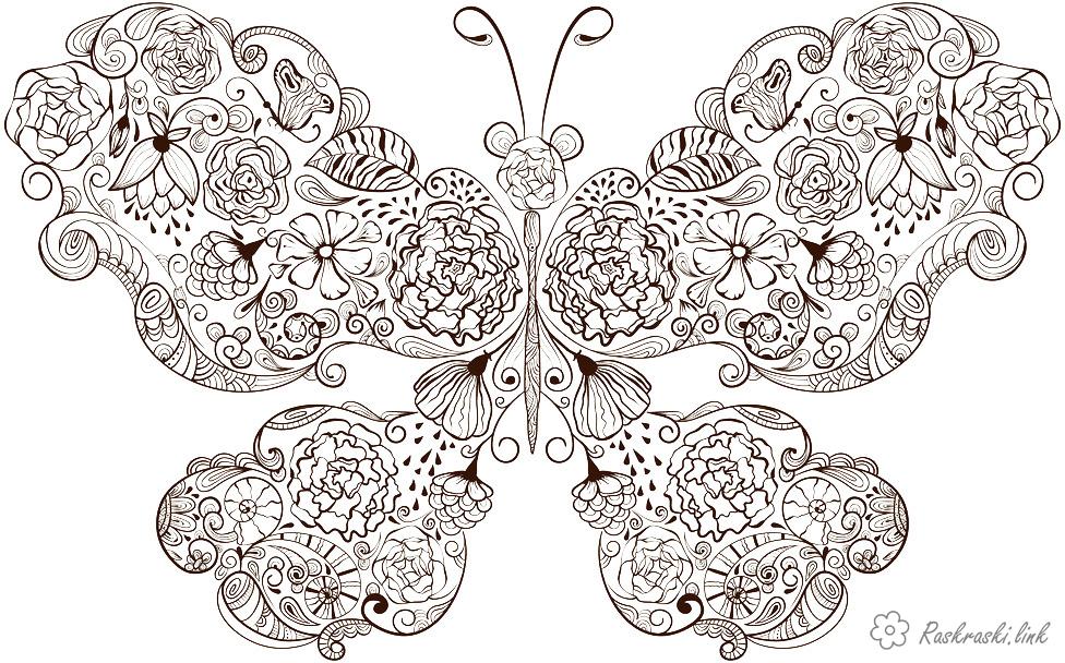 Розмальовки Комахи Метелик, квіти, листя
