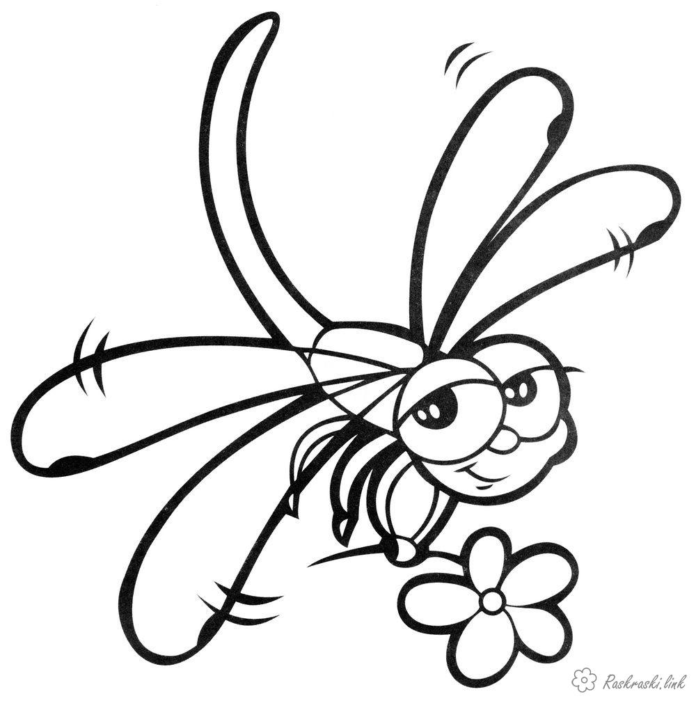 Розмальовки Комахи Розмальовка бабка, комахи, квітка
