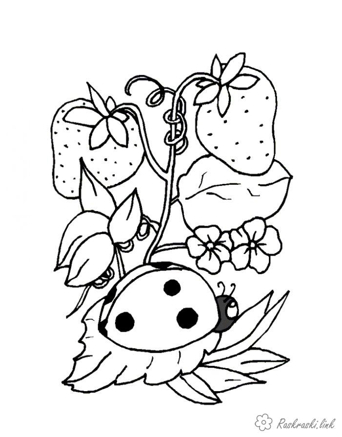 Розмальовки Комахи Дитячі розмальовки, сонечко, полуниця, ягоди