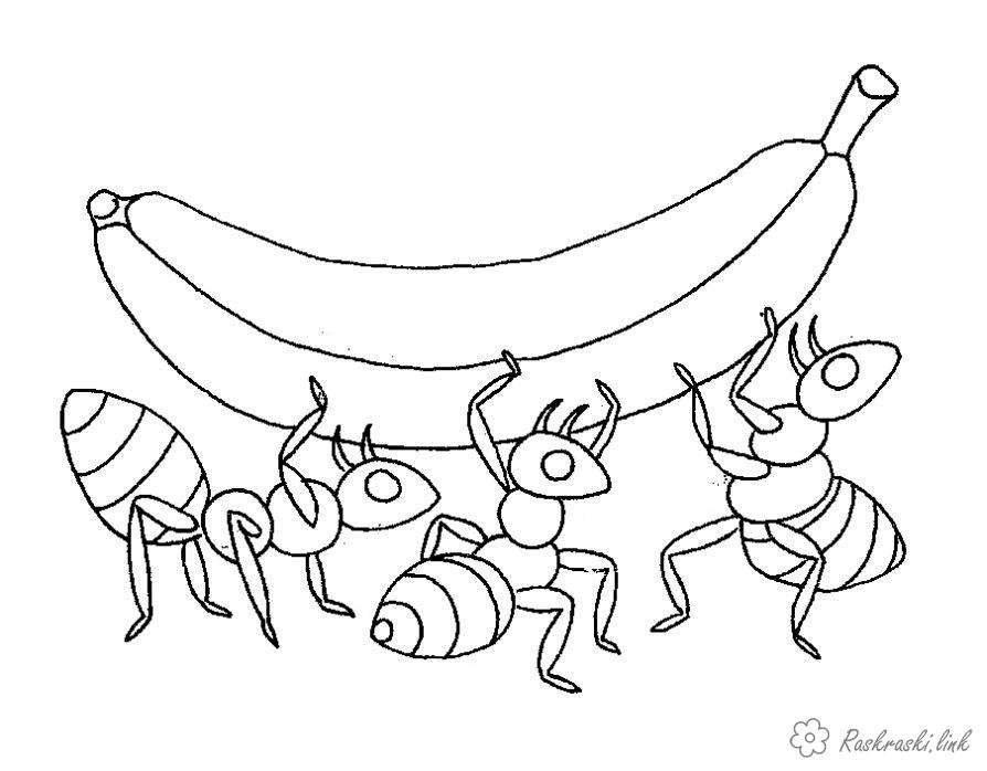 Розмальовки природа Комахи, мураха, мурашки, банан