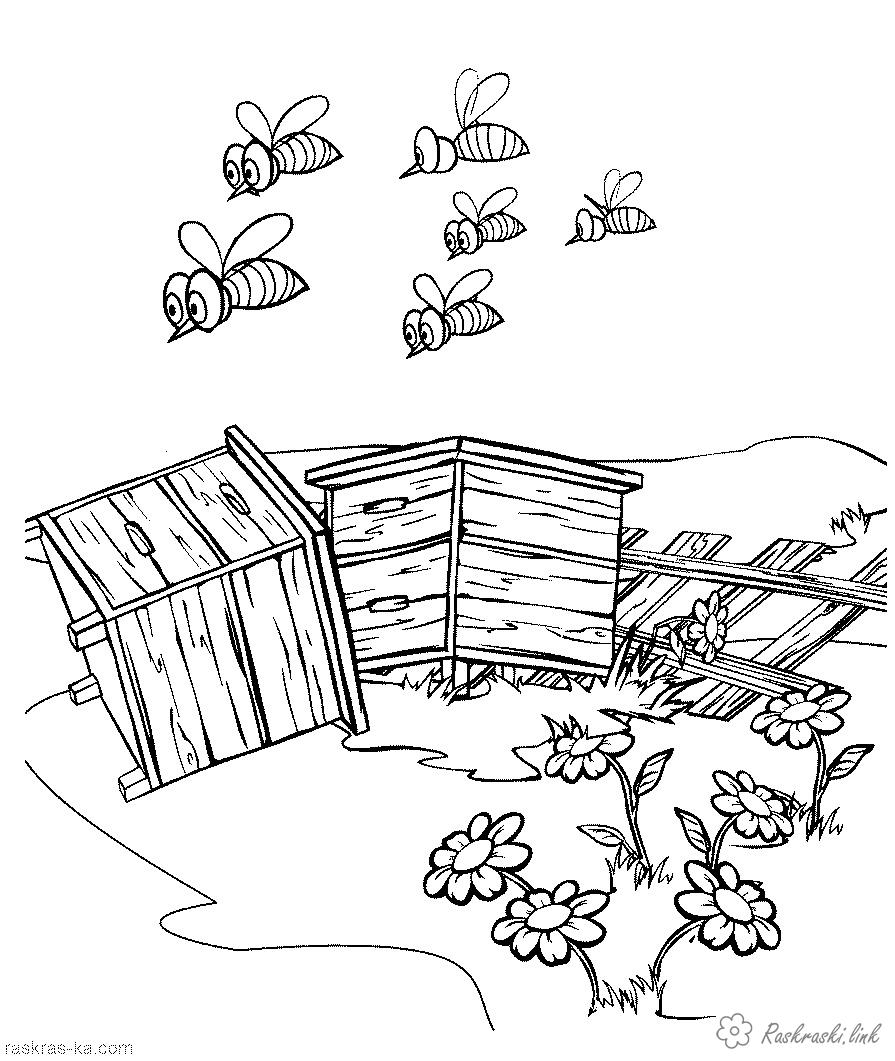 Розмальовки природа Комахи, рій, бджоли, бджола, вулик