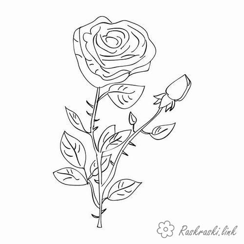 Розмальовки роза розмальовки рослини, природа, квіти