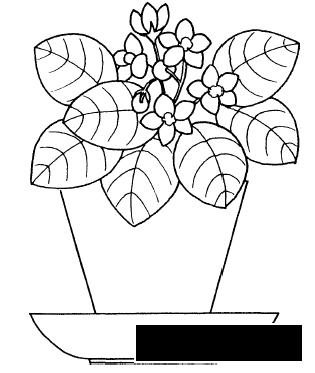 Розмальовки природа Квіти в горщику