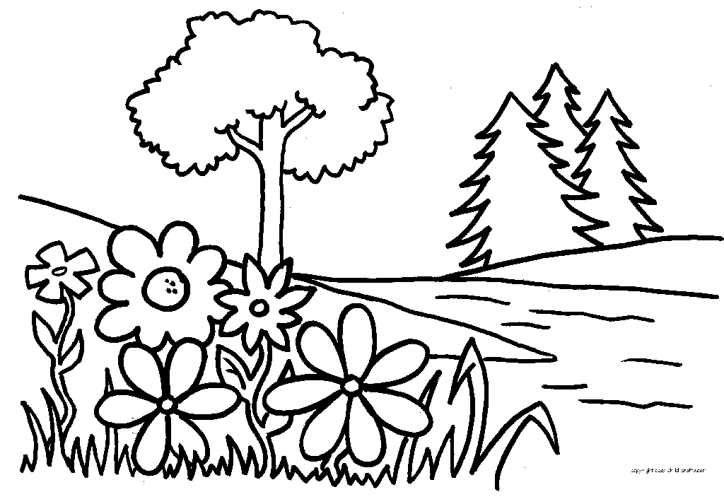 Розмальовки квіти Природа