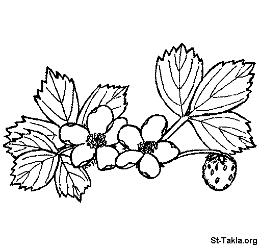 Розмальовки ягоди Полуниця