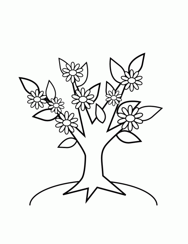 Розмальовки Дерева розмальовки дерева, розмальовки природа, дерево, квіти