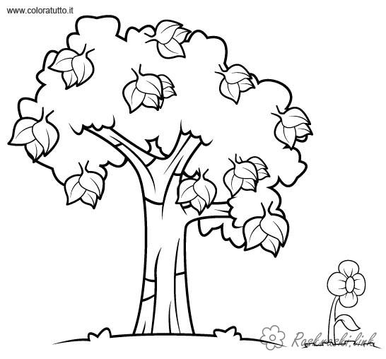 Розмальовки Дерева розмальовки дерева, розмальовки природа, дерево, квіти