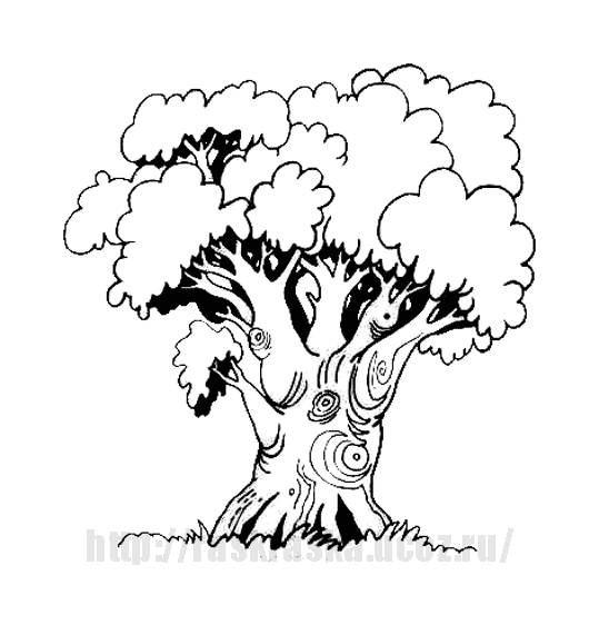 Розмальовки Дерева розмальовки дерева, розмальовки природа, дерево, дуб