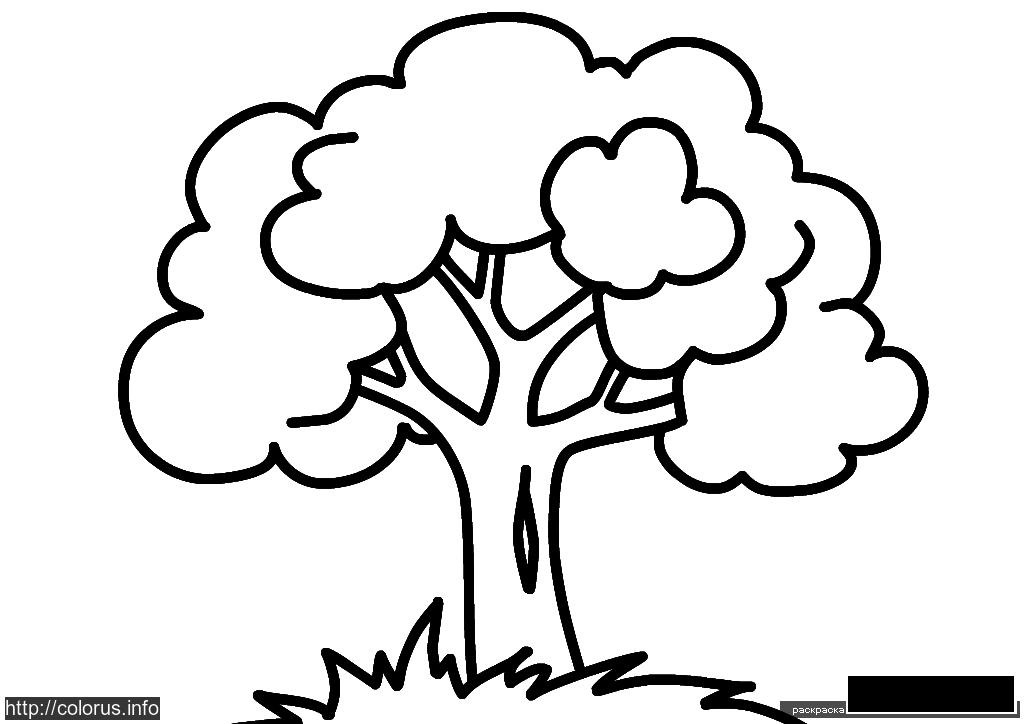 Розмальовки дерева Маленьке дерево