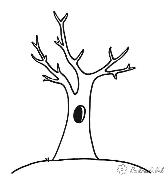 Розмальовки дерево Дерево з подвійним