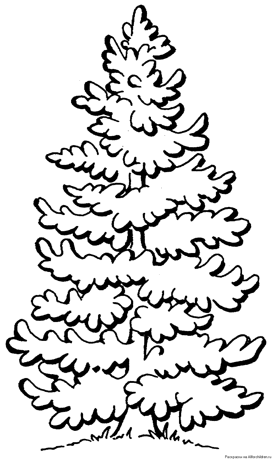 Розмальовки дерева Ялина