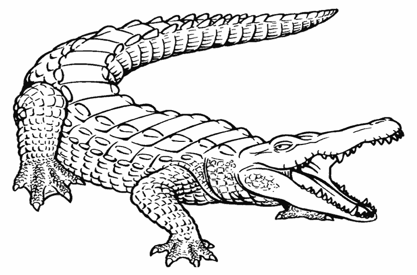 Розмальовки крокодил Страшний крокодил
