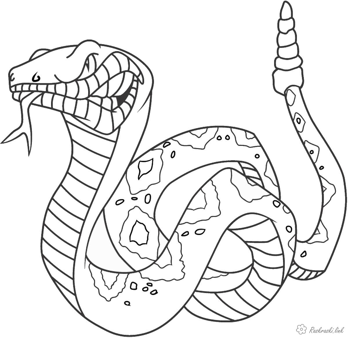 Розмальовки змія Страшна змія