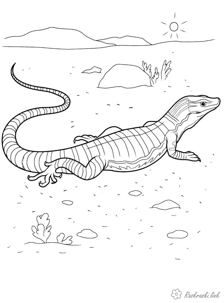 Розмальовки Рептилії Рептилії, варан, пустеля, сонце