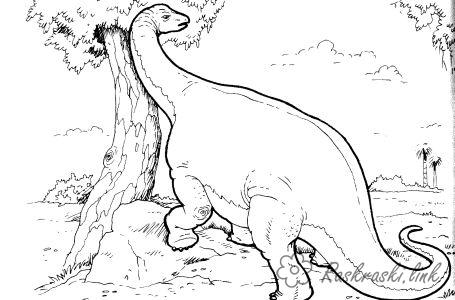 Розмальовки природа Рептилії, динозавр, травоїдний