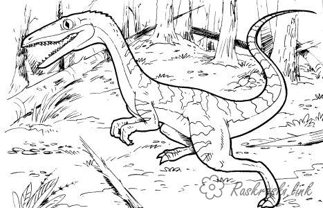 Розмальовки динозавр Рептилії, динозавр, хижак