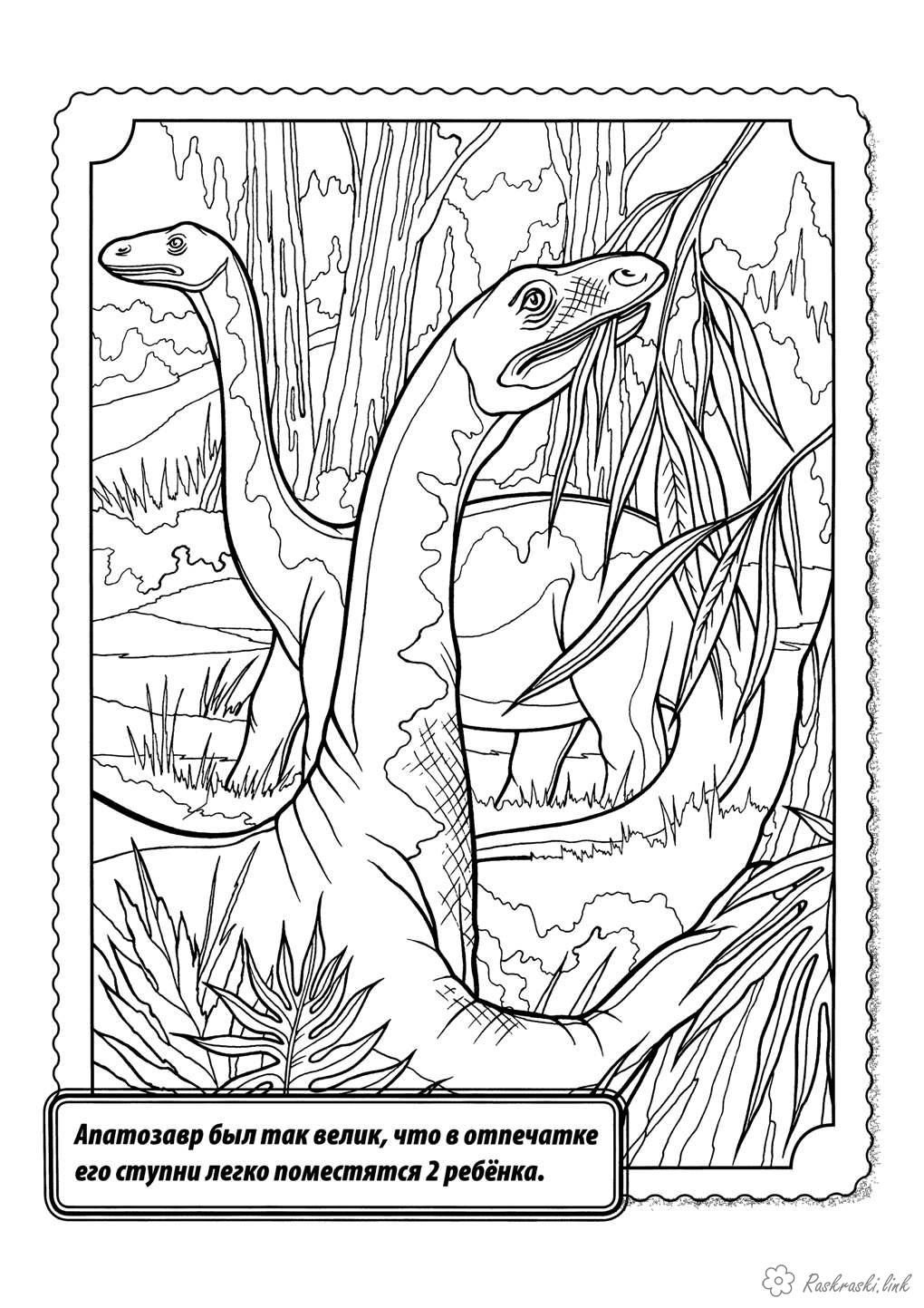 Розмальовки природа Рептилії, динозавр, апатозавр, травоїдний