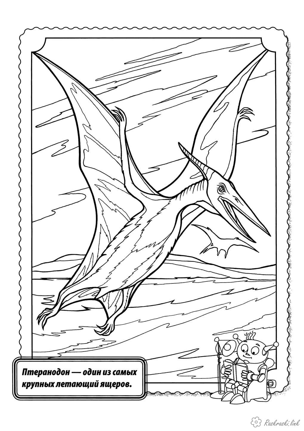 Розмальовки розмальовка Рептилії, динозавр, літає, птеранодон, хижак