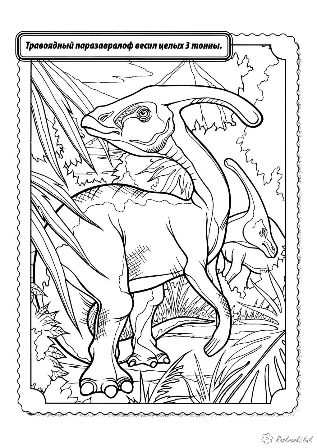 Розмальовки динозавр Рептилії, динозавр, травоїдний, паразавралоф